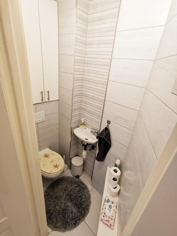 בודפשט Bright, Spacious Apartment 3 Bedroom, Garage מראה חיצוני תמונה